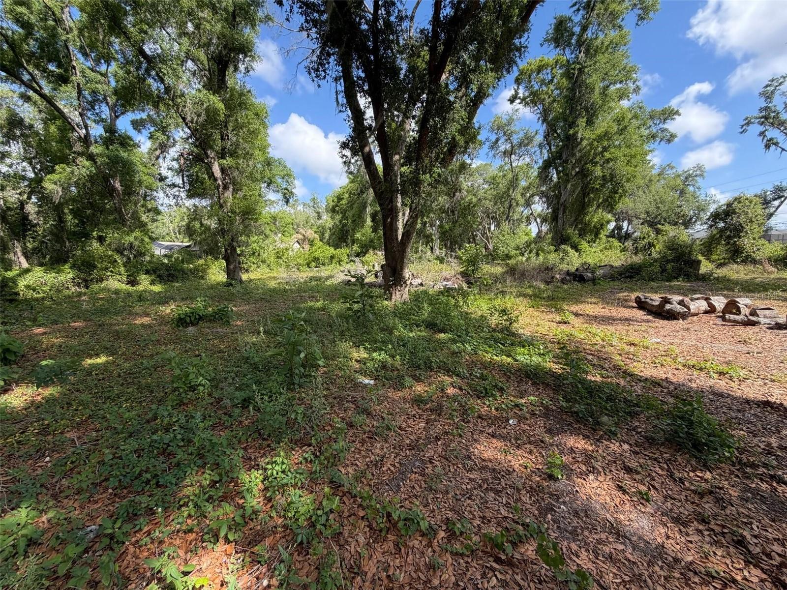 3726 COUNTY ROAD 507, WILDWOOD, FL, 34785