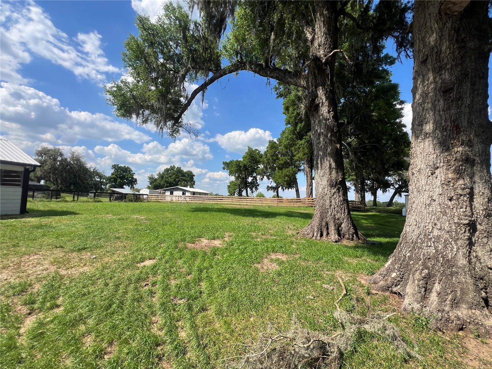 1575 NE 100TH ST, ANTHONY, FL, 32617