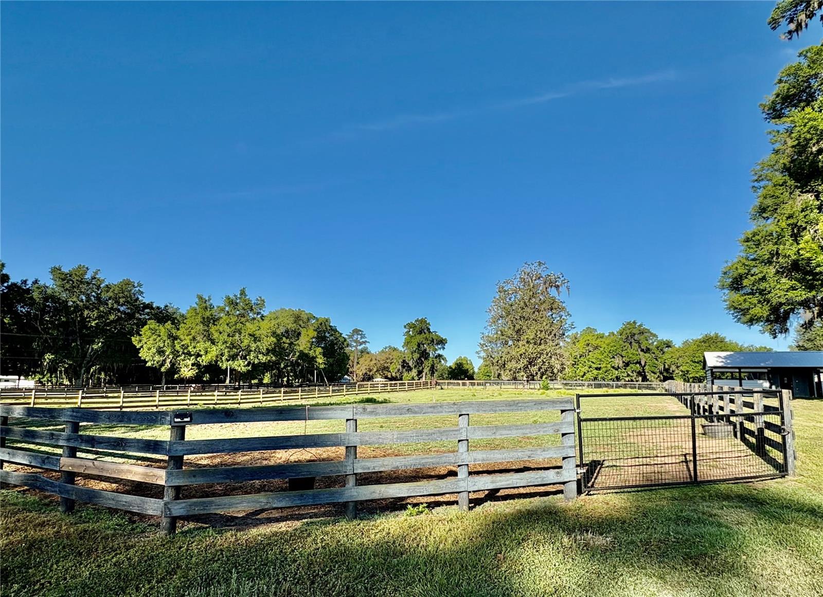 1575 NE 100TH ST, ANTHONY, FL, 32617