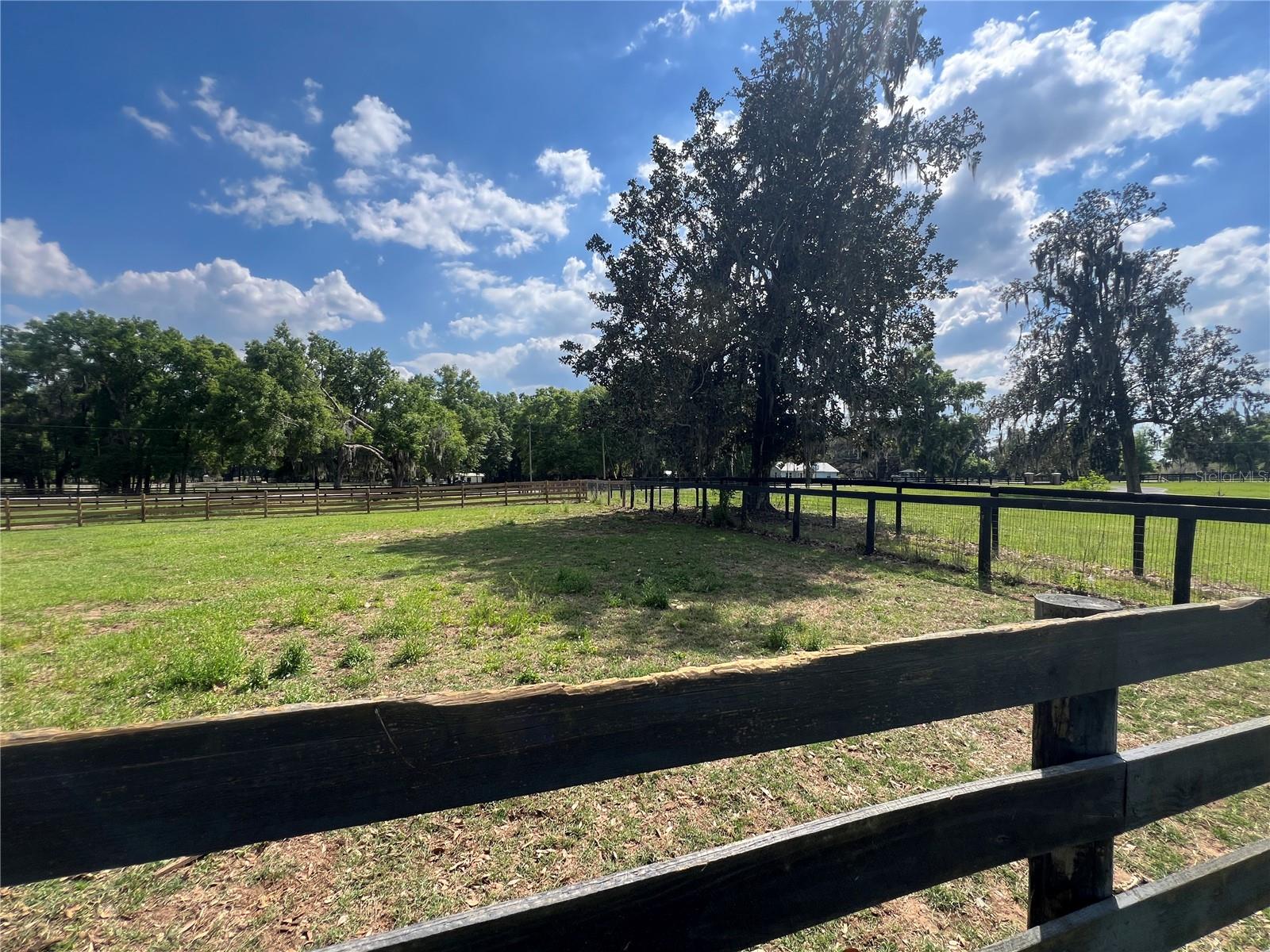 1575 NE 100TH ST, ANTHONY, FL, 32617