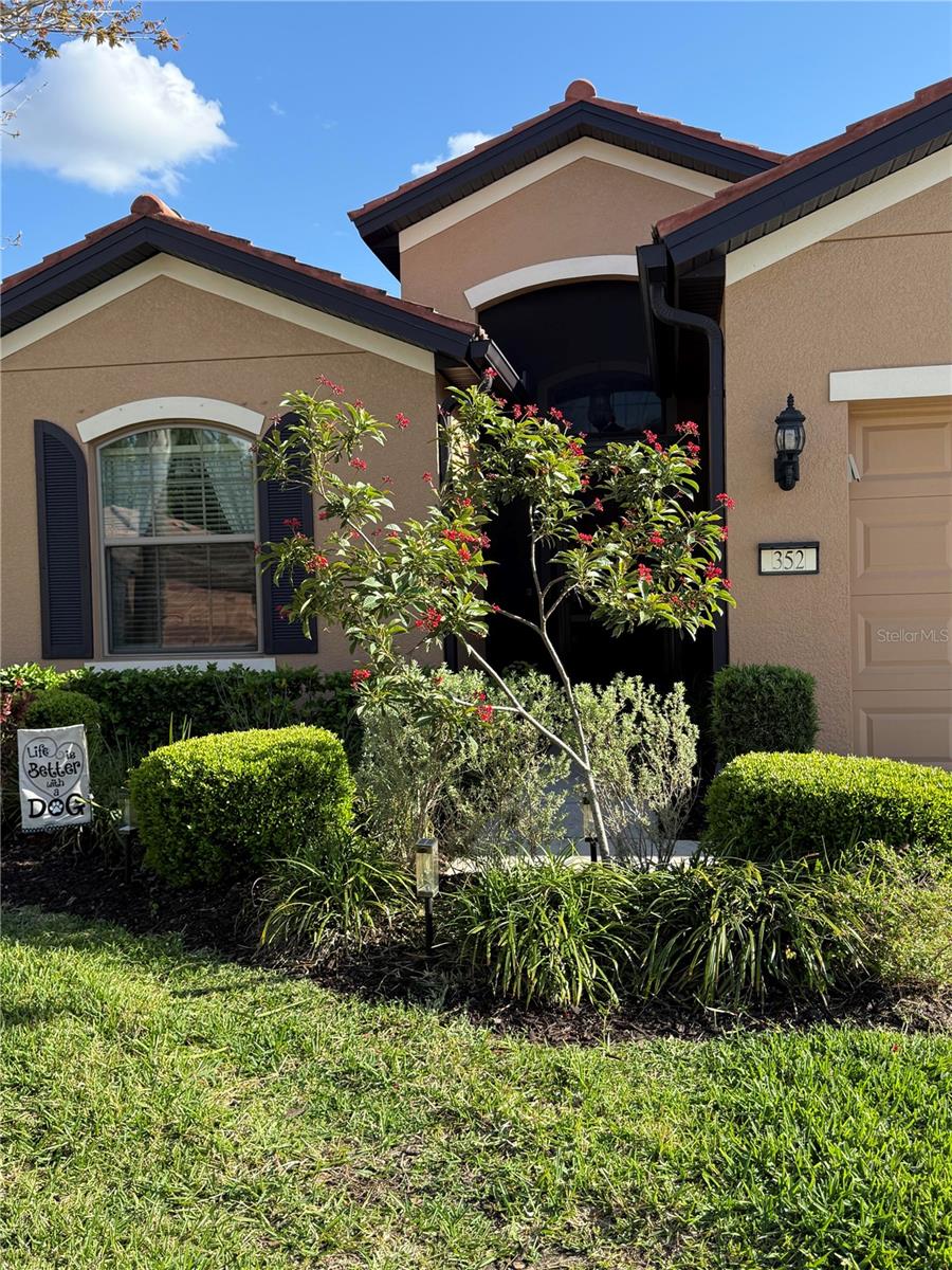 352 LAUREL FALLS DR, APOLLO BEACH, FL, 33572
