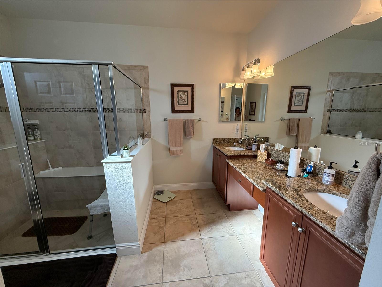352 LAUREL FALLS DR, APOLLO BEACH, FL, 33572