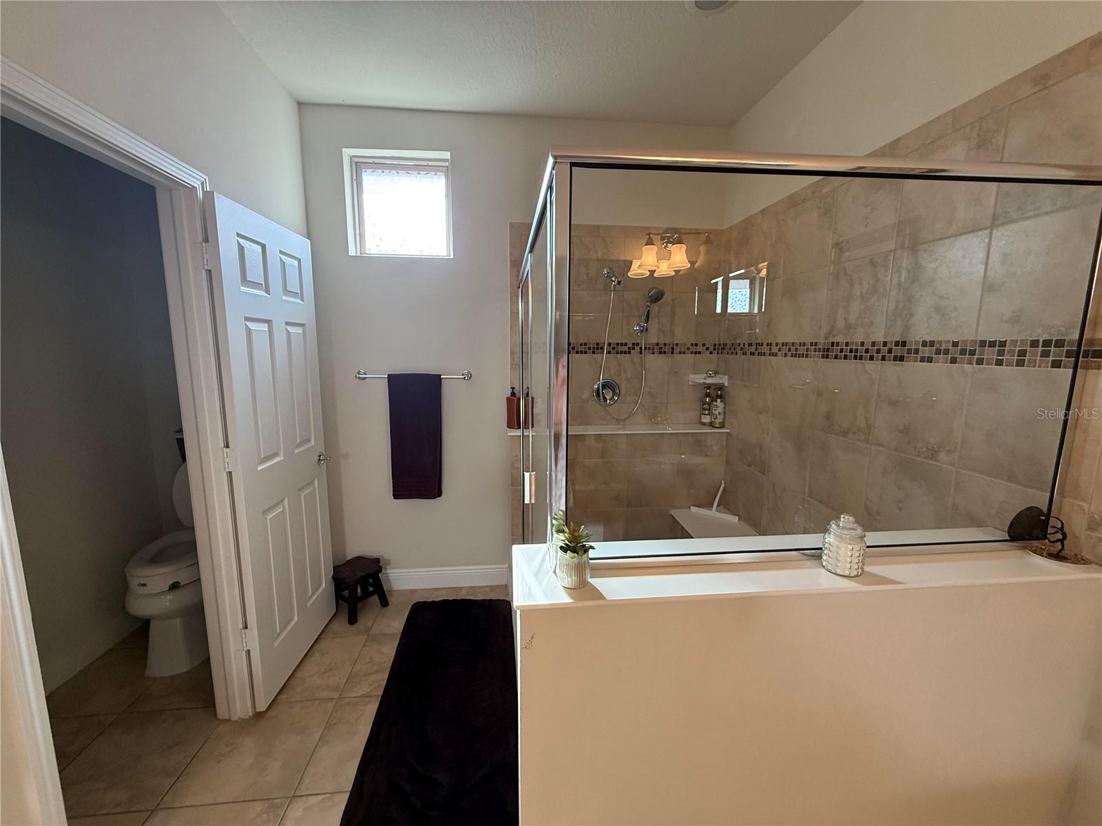 352 LAUREL FALLS DR, APOLLO BEACH, FL, 33572