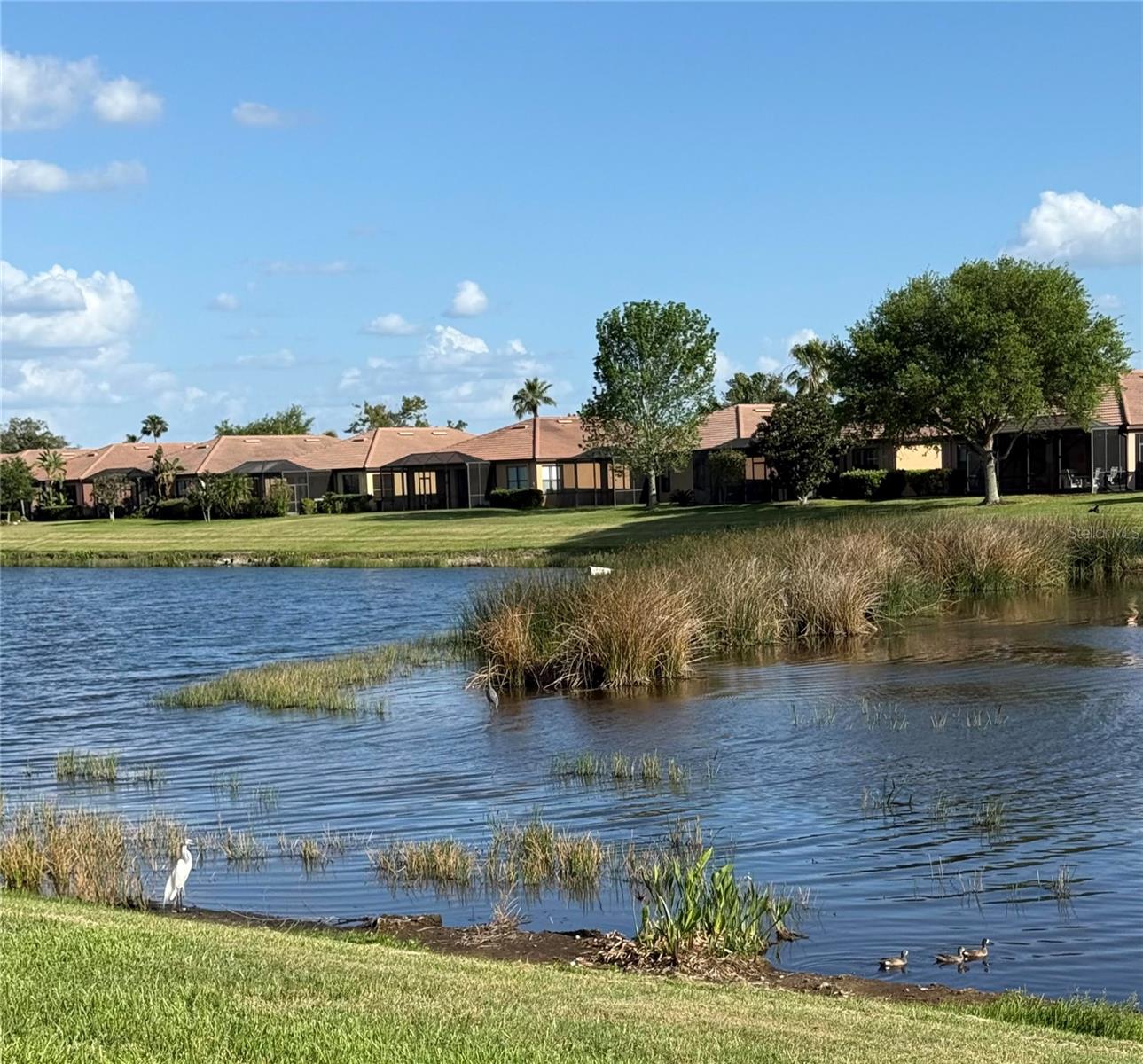 352 LAUREL FALLS DR, APOLLO BEACH, FL, 33572