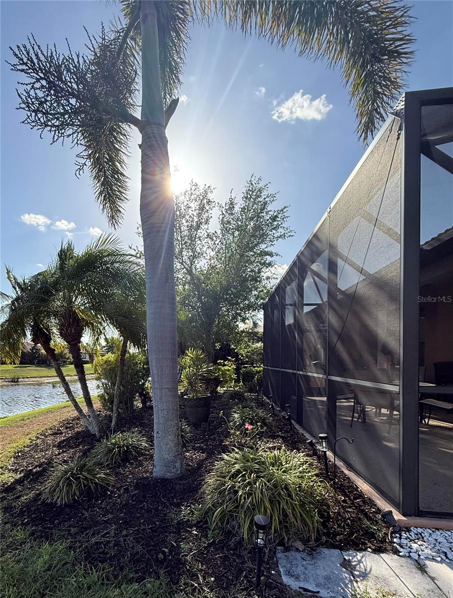 352 LAUREL FALLS DR, APOLLO BEACH, FL, 33572