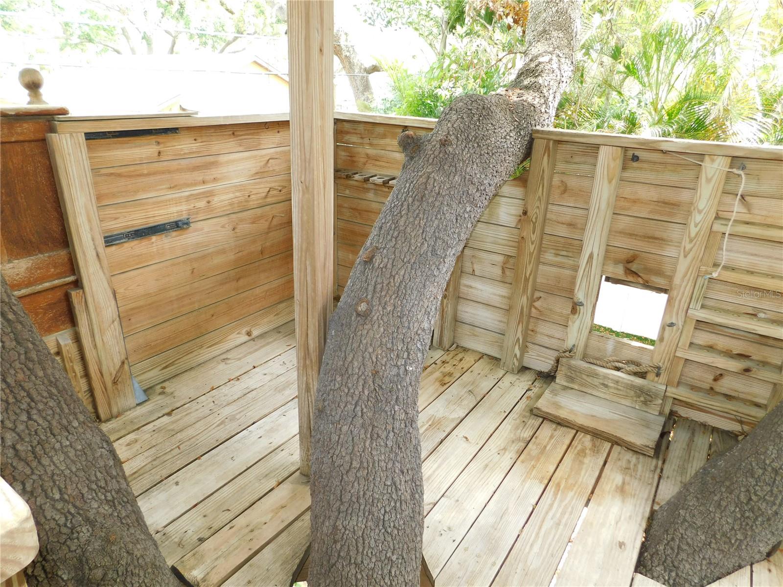 155 MARSHALL ST, SAFETY HARBOR, FL, 34695