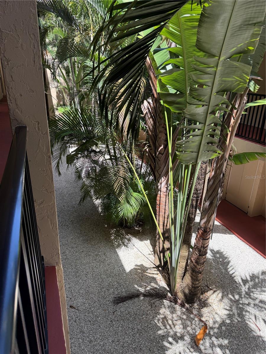 3700 S OSPREY AVE #205, SARASOTA, FL, 34239
