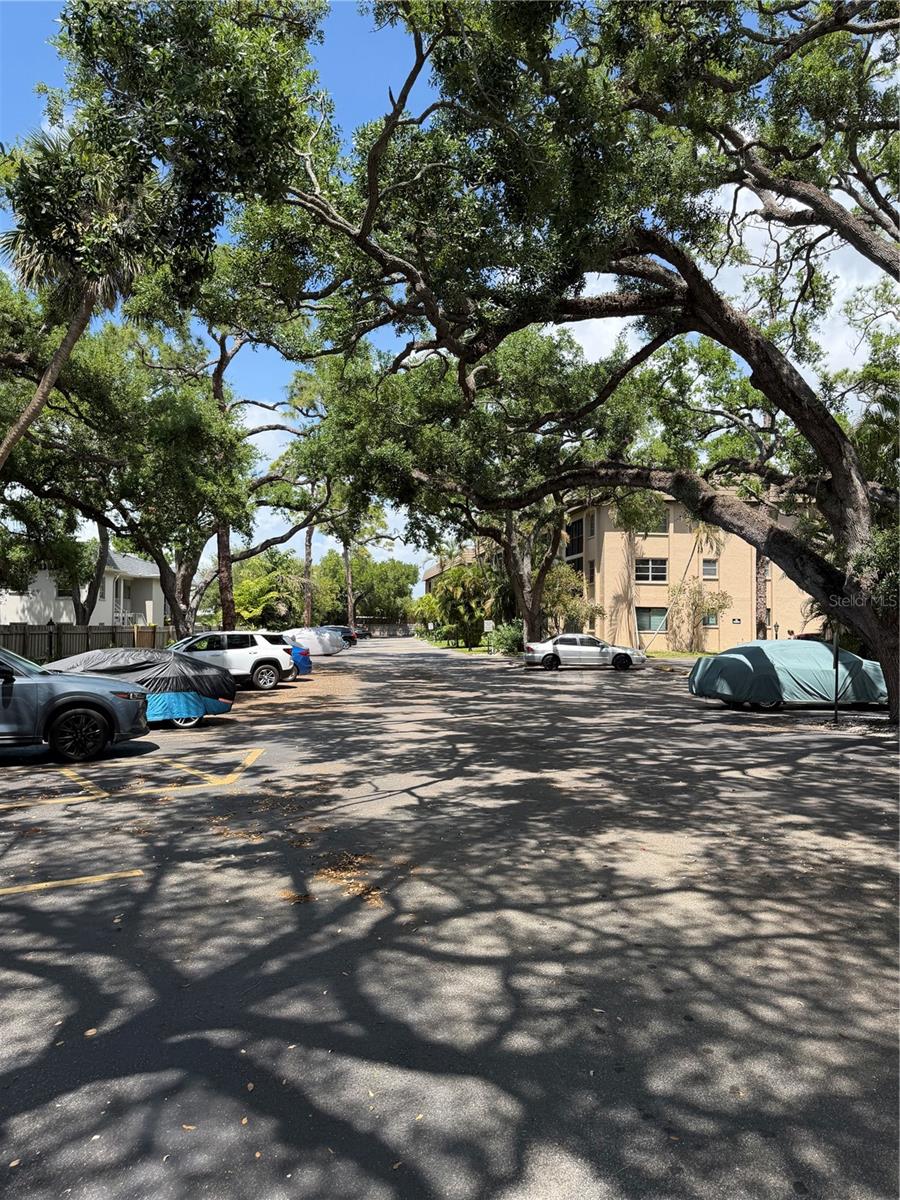 3700 S OSPREY AVE #205, SARASOTA, FL, 34239