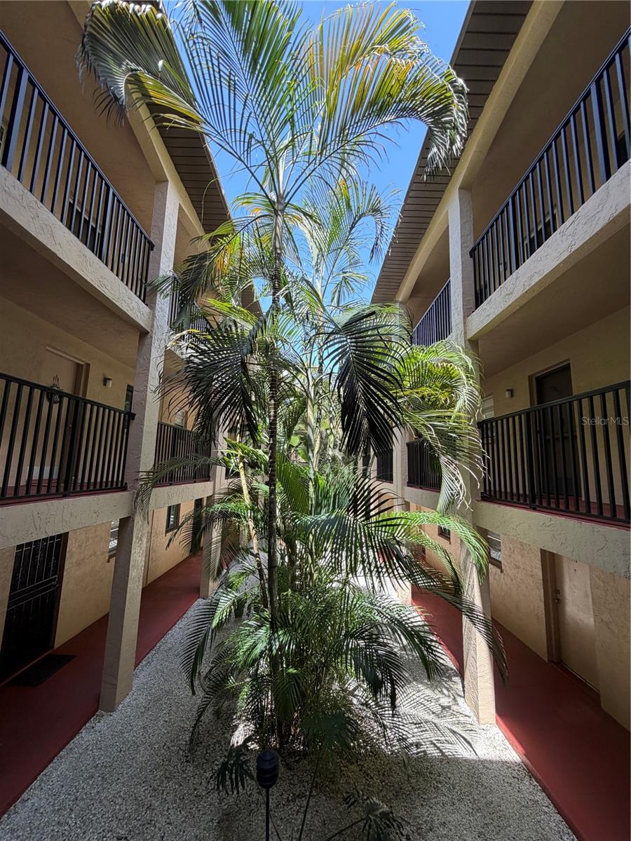 3700 S OSPREY AVE #205, SARASOTA, FL, 34239