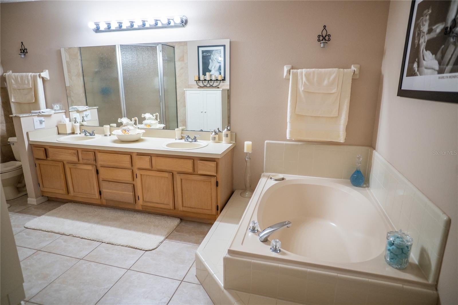 8809 HUNTING BOW CT, ORLANDO, FL, 32829