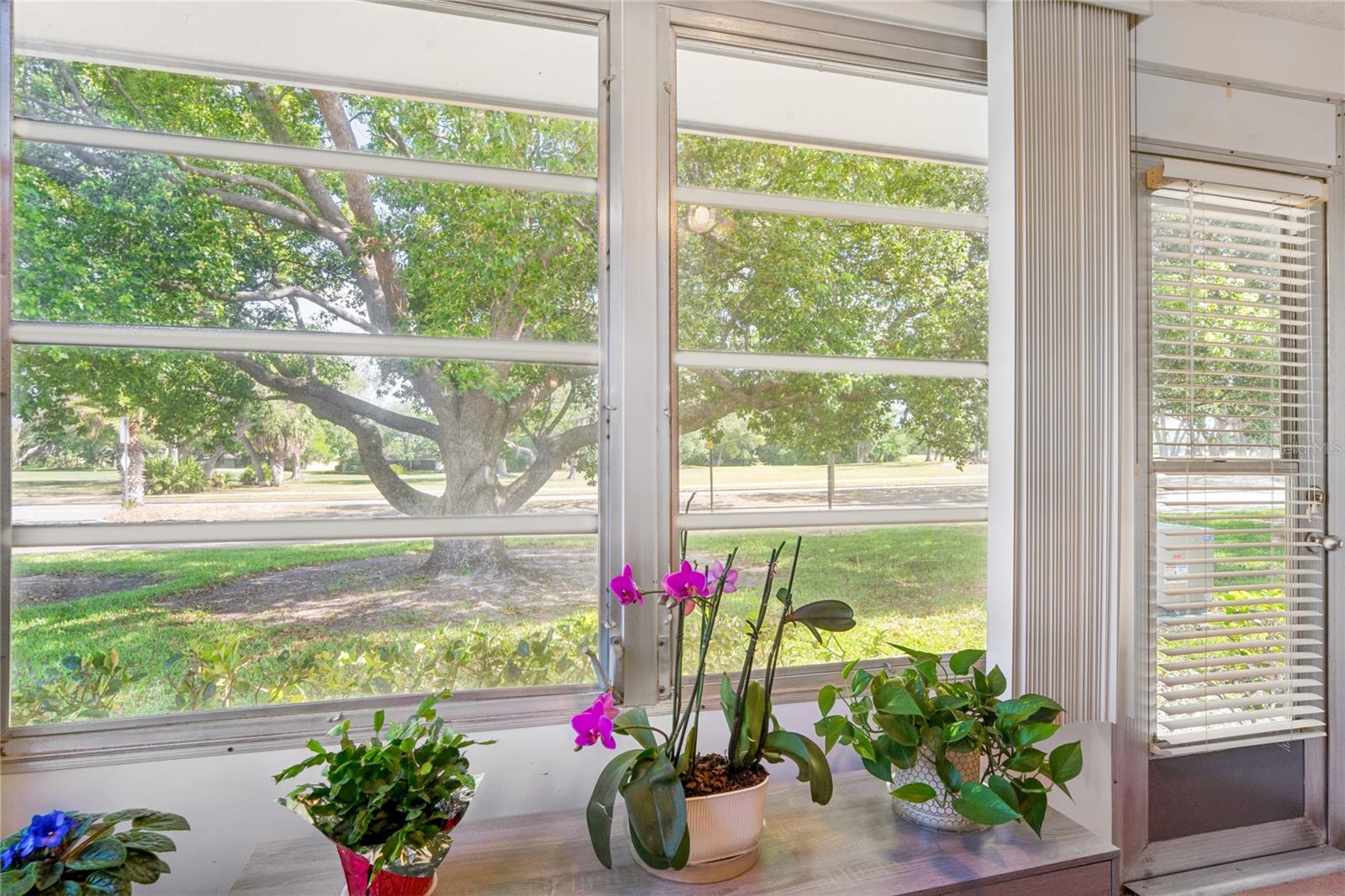 12518 DEARBORN DR #12518, HUDSON, FL, 34667