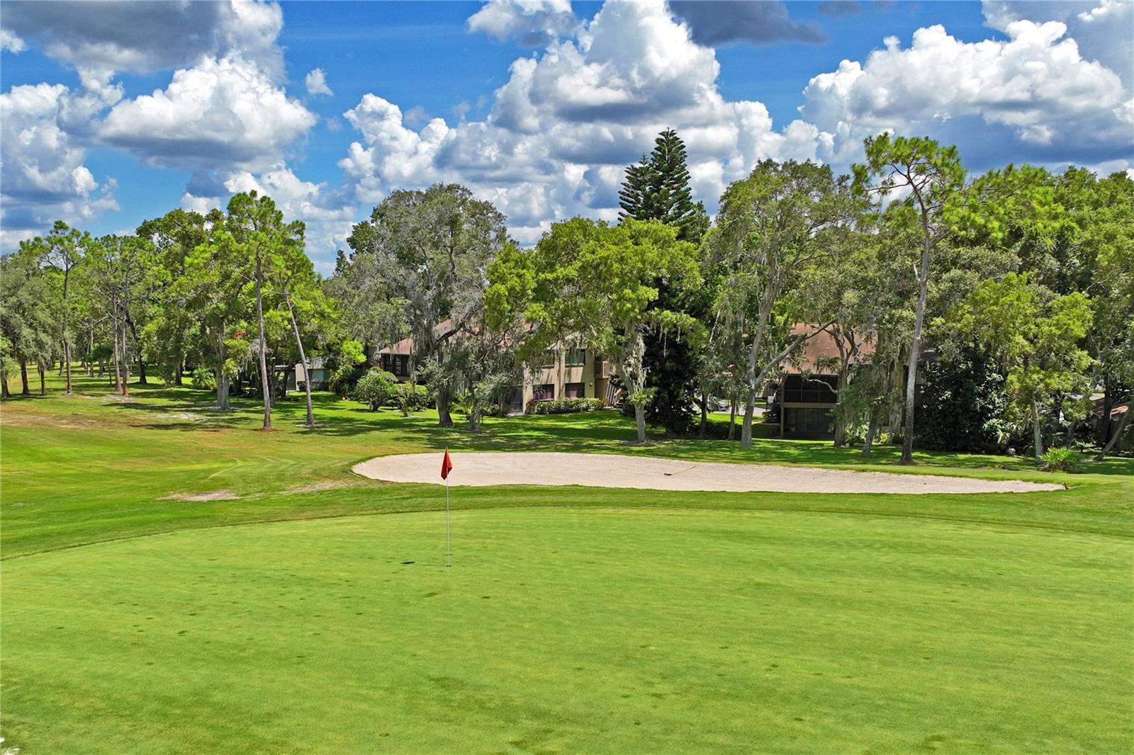 12518 DEARBORN DR #12518, HUDSON, FL, 34667