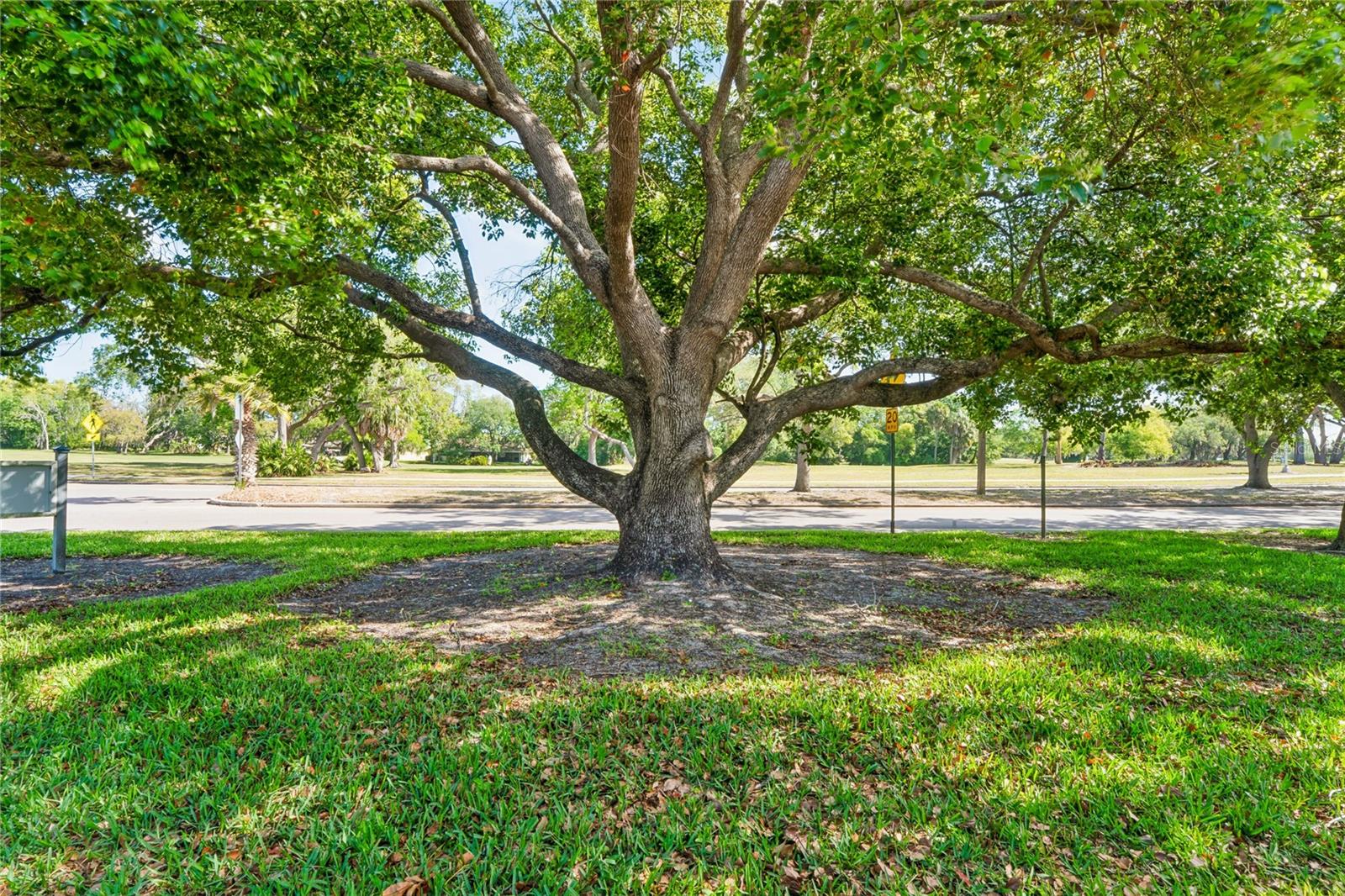 12518 DEARBORN DR #12518, HUDSON, FL, 34667