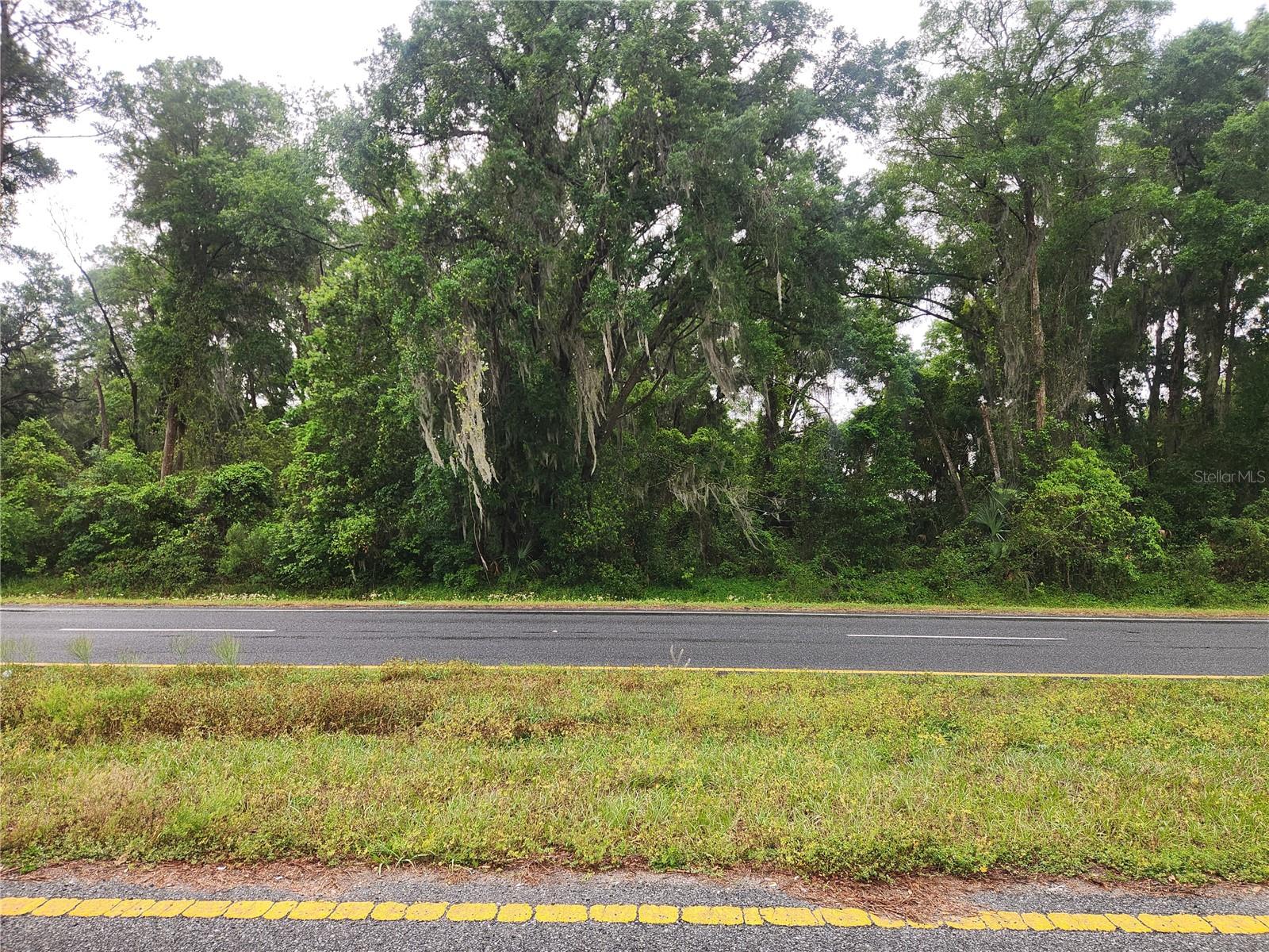 SE HWY 484, SUMMERFIELD, FL, 34491