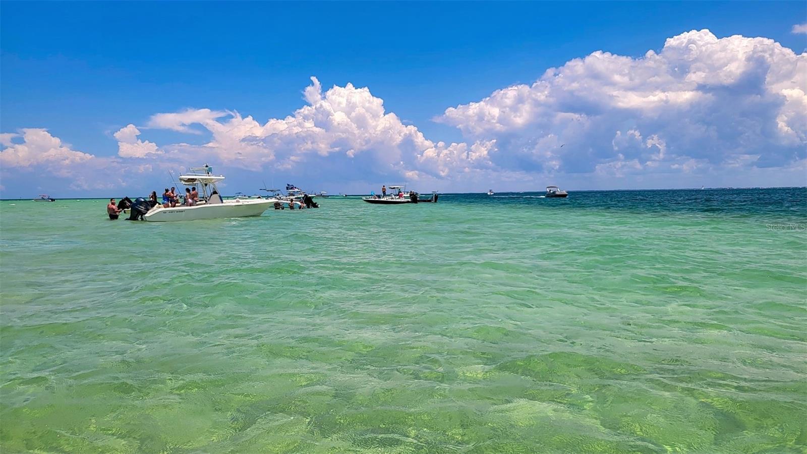 Anclote Island Sandbar