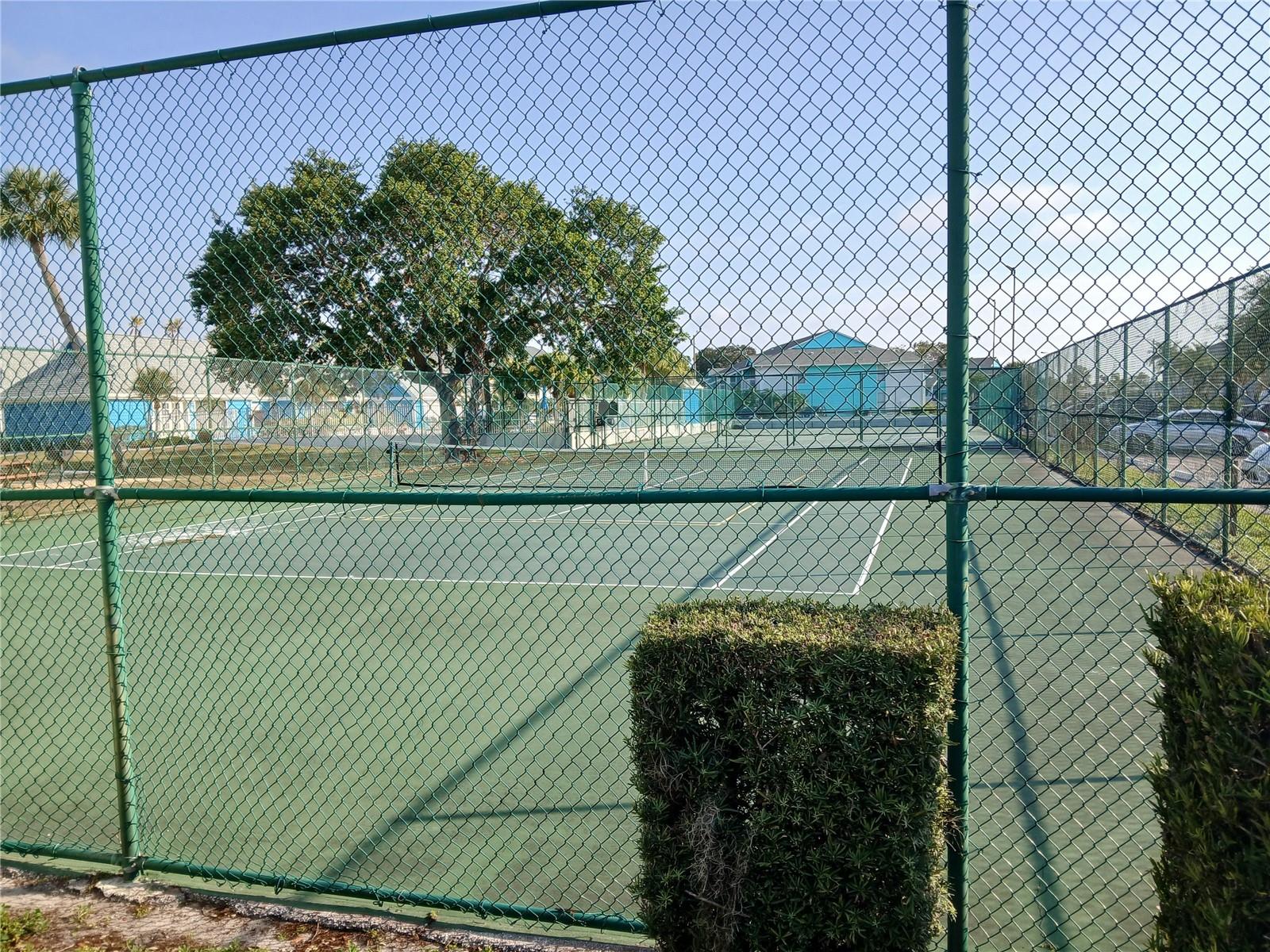 455 ALT 19 S #121, PALM HARBOR, FL, 34683