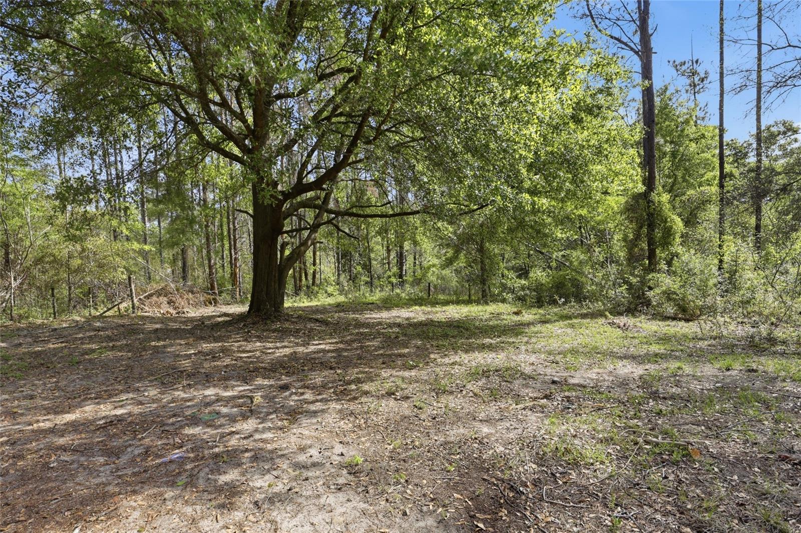 4215 SW 253RD TER, NEWBERRY, FL, 32669