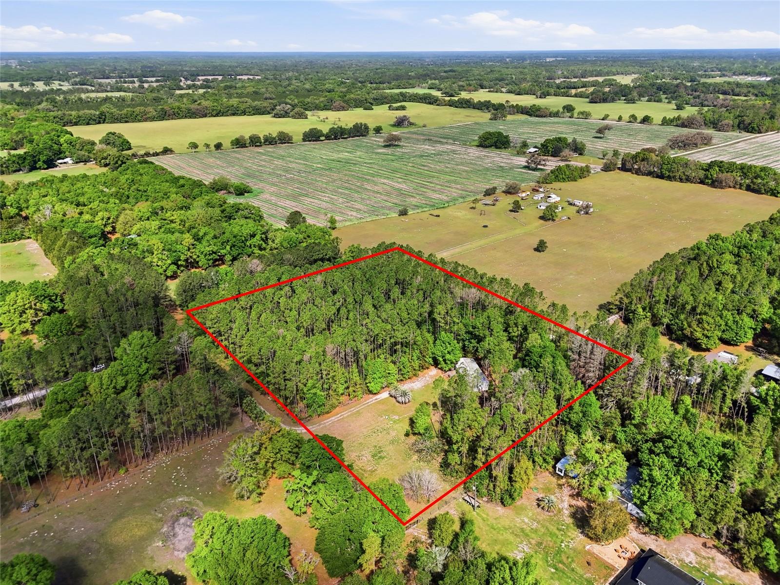 4215 SW 253RD TER, NEWBERRY, FL, 32669