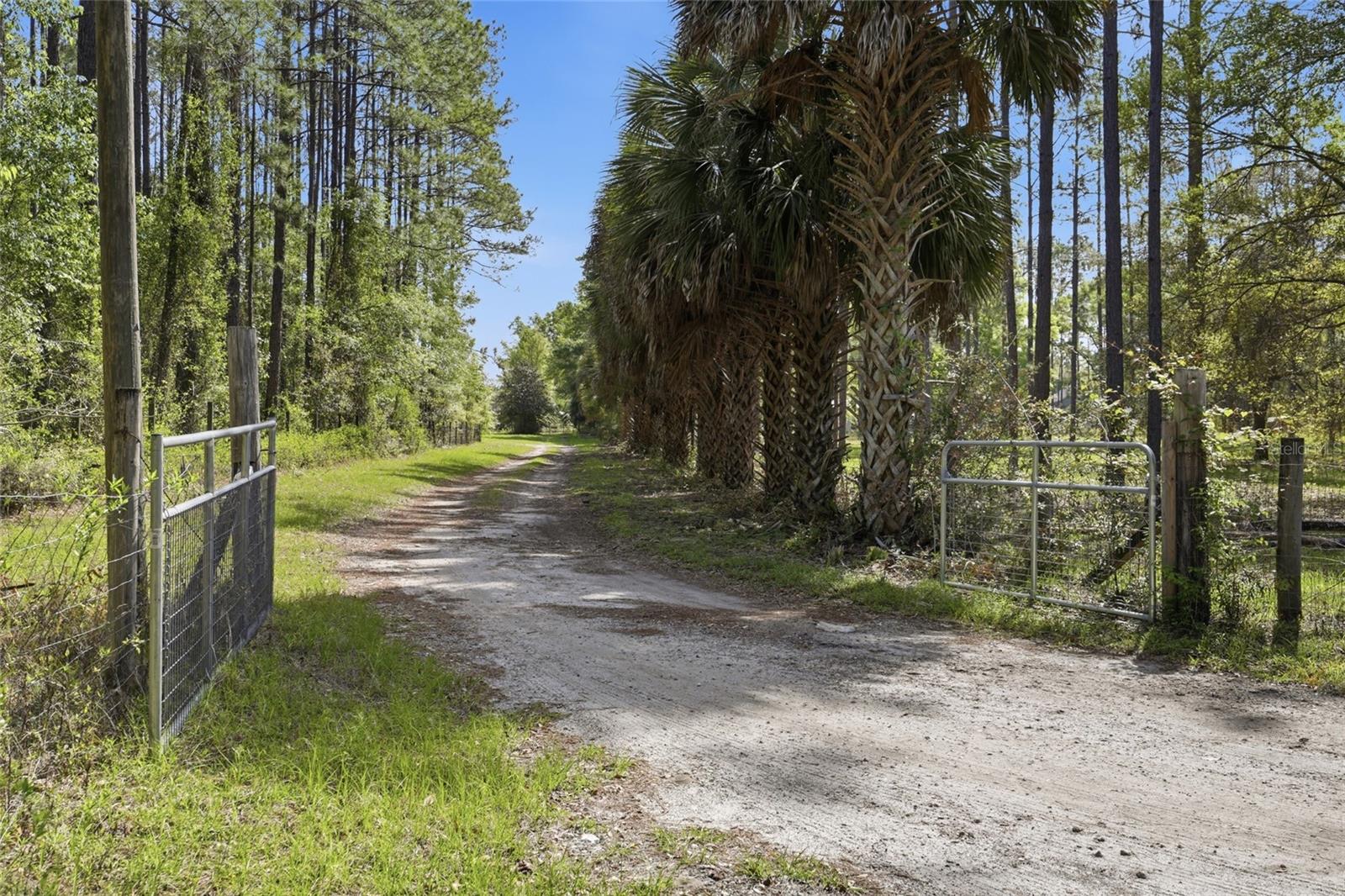 4215 SW 253RD TER, NEWBERRY, FL, 32669
