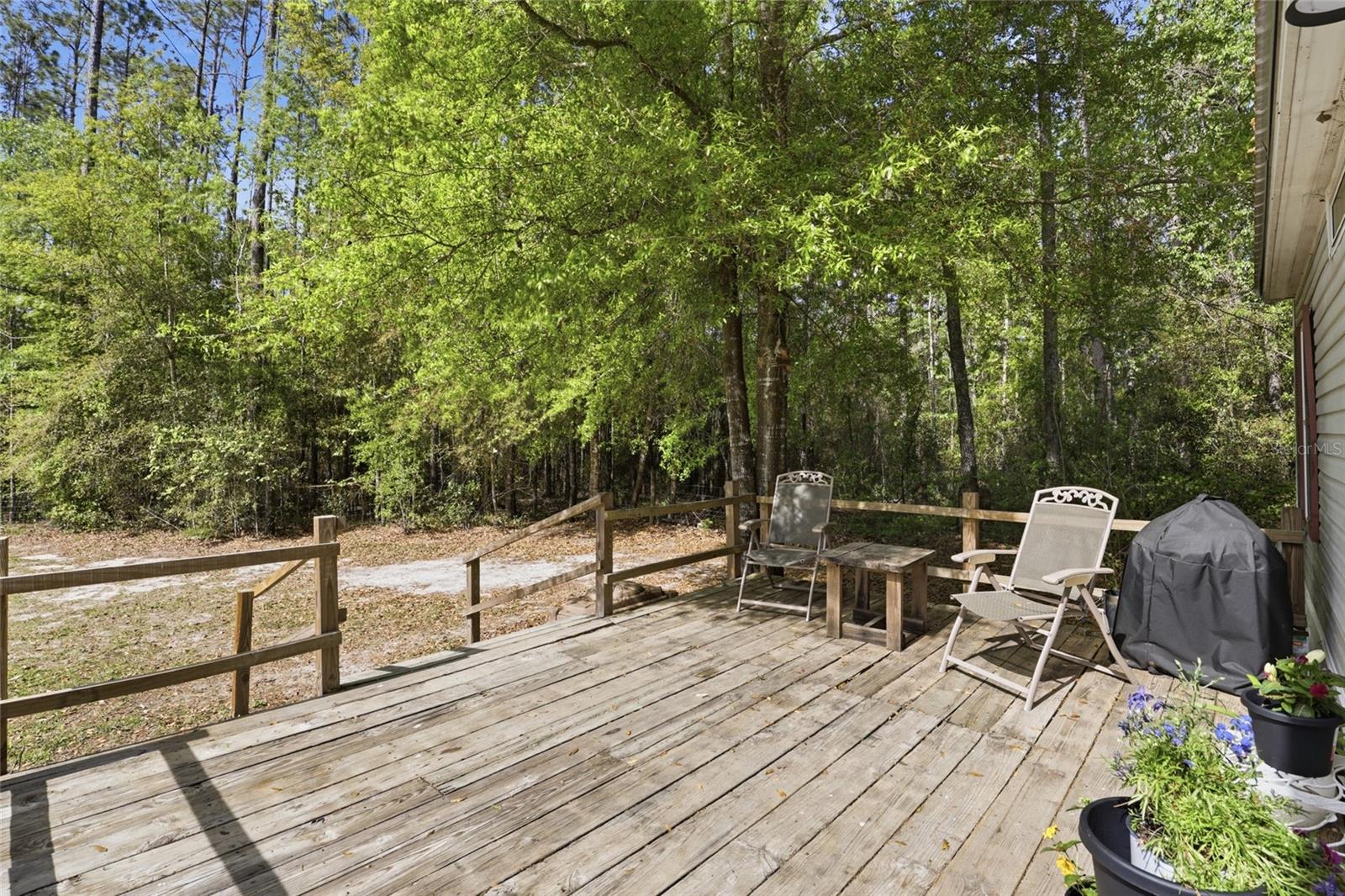 4215 SW 253RD TER, NEWBERRY, FL, 32669