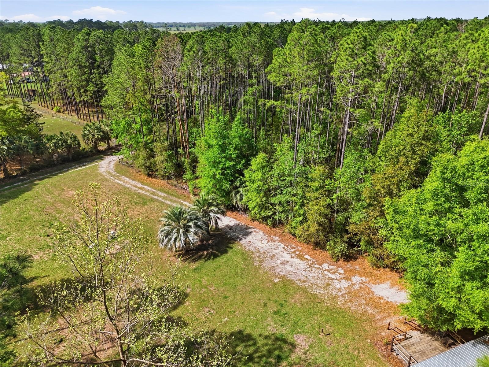 4215 SW 253RD TER, NEWBERRY, FL, 32669