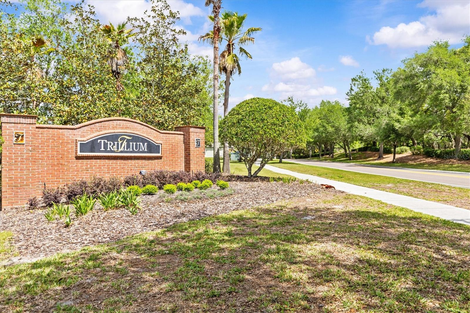 601 NODDING SHADE DR, BROOKSVILLE, FL, 34604