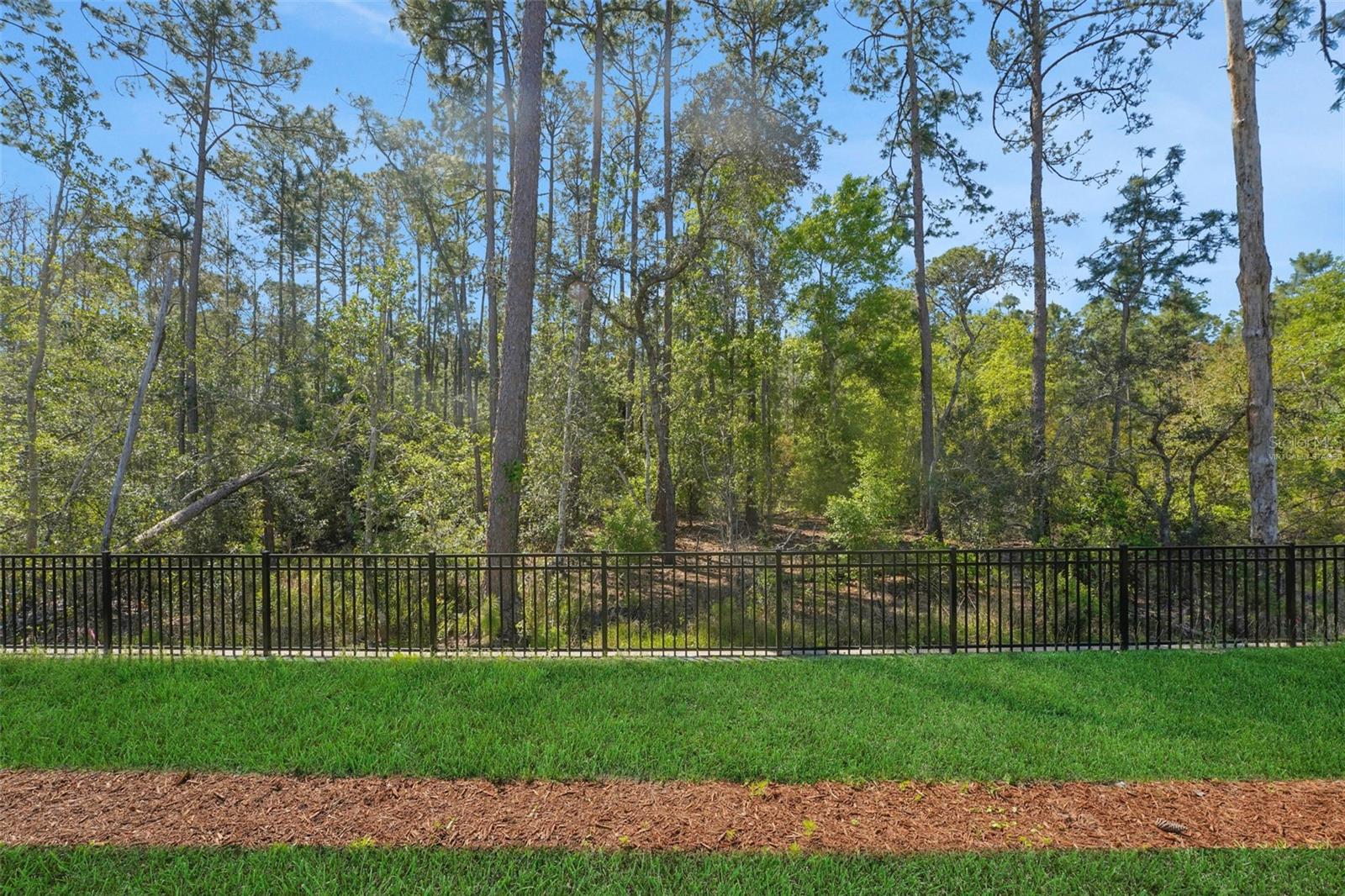 14371 CREST PALM AVE, WINDERMERE, FL, 34786