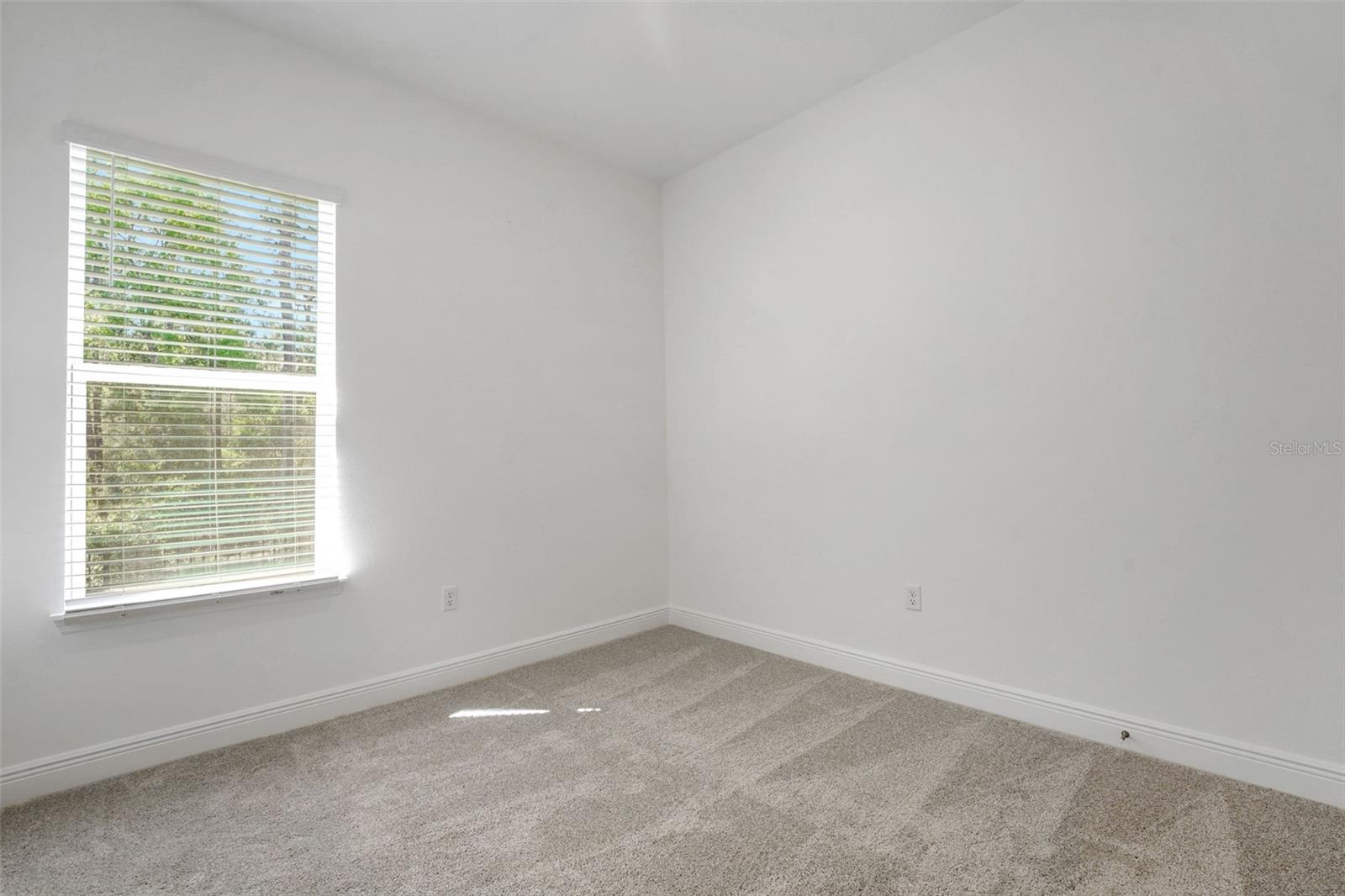 14371 CREST PALM AVE, WINDERMERE, FL, 34786