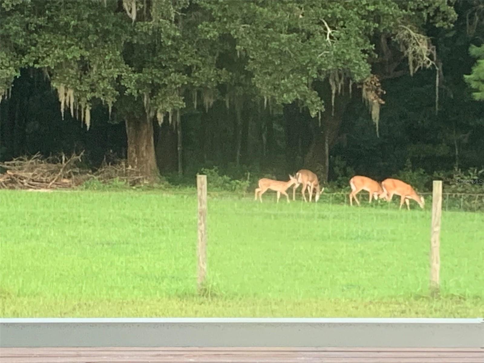 2350 ROSE TERRACE PATH, BROOKSVILLE, FL, 34602