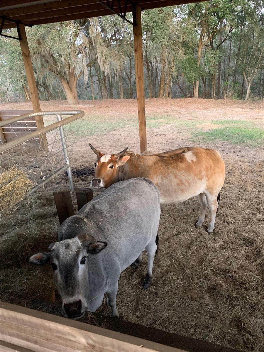 2350 ROSE TERRACE PATH, BROOKSVILLE, FL, 34602