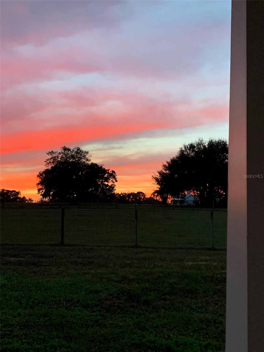 2350 ROSE TERRACE PATH, BROOKSVILLE, FL, 34602