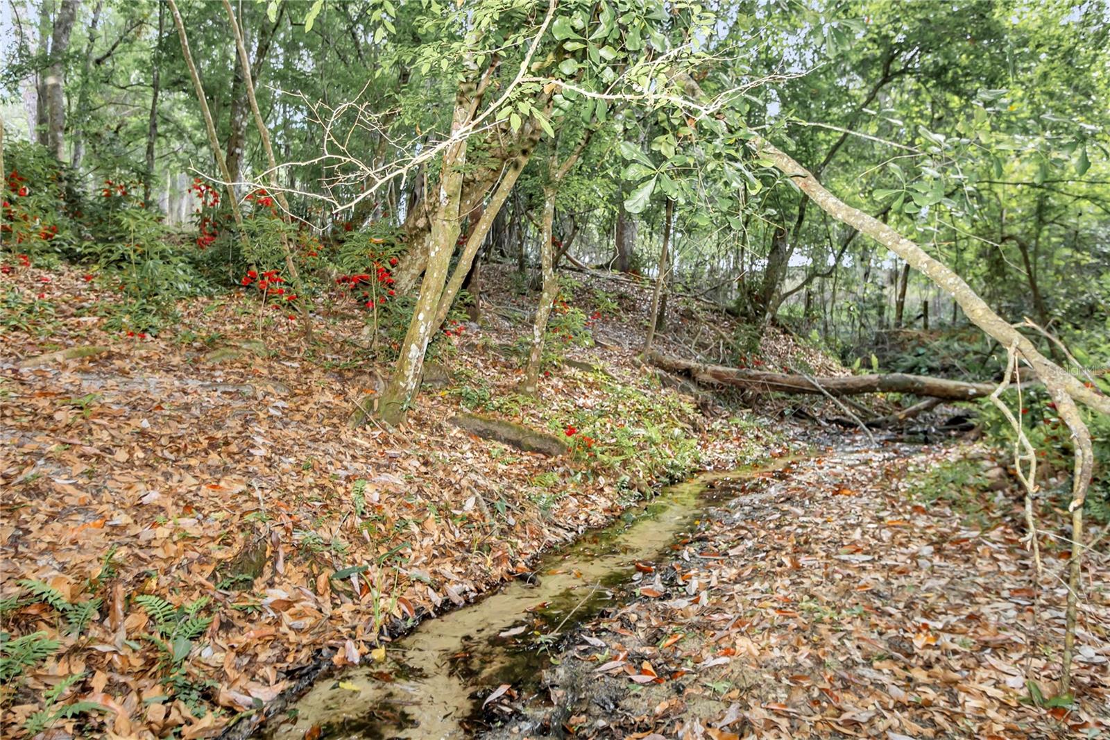 2350 ROSE TERRACE PATH, BROOKSVILLE, FL, 34602