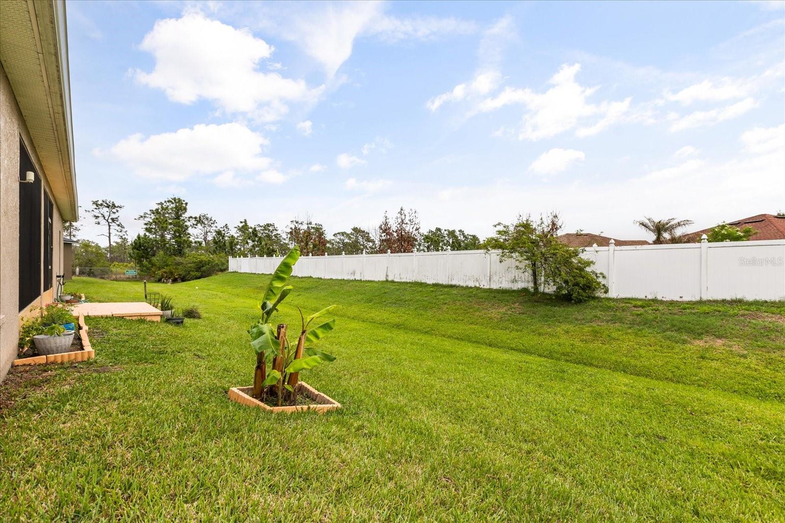 3878 WOOD THRUSH DR, KISSIMMEE, FL, 34744