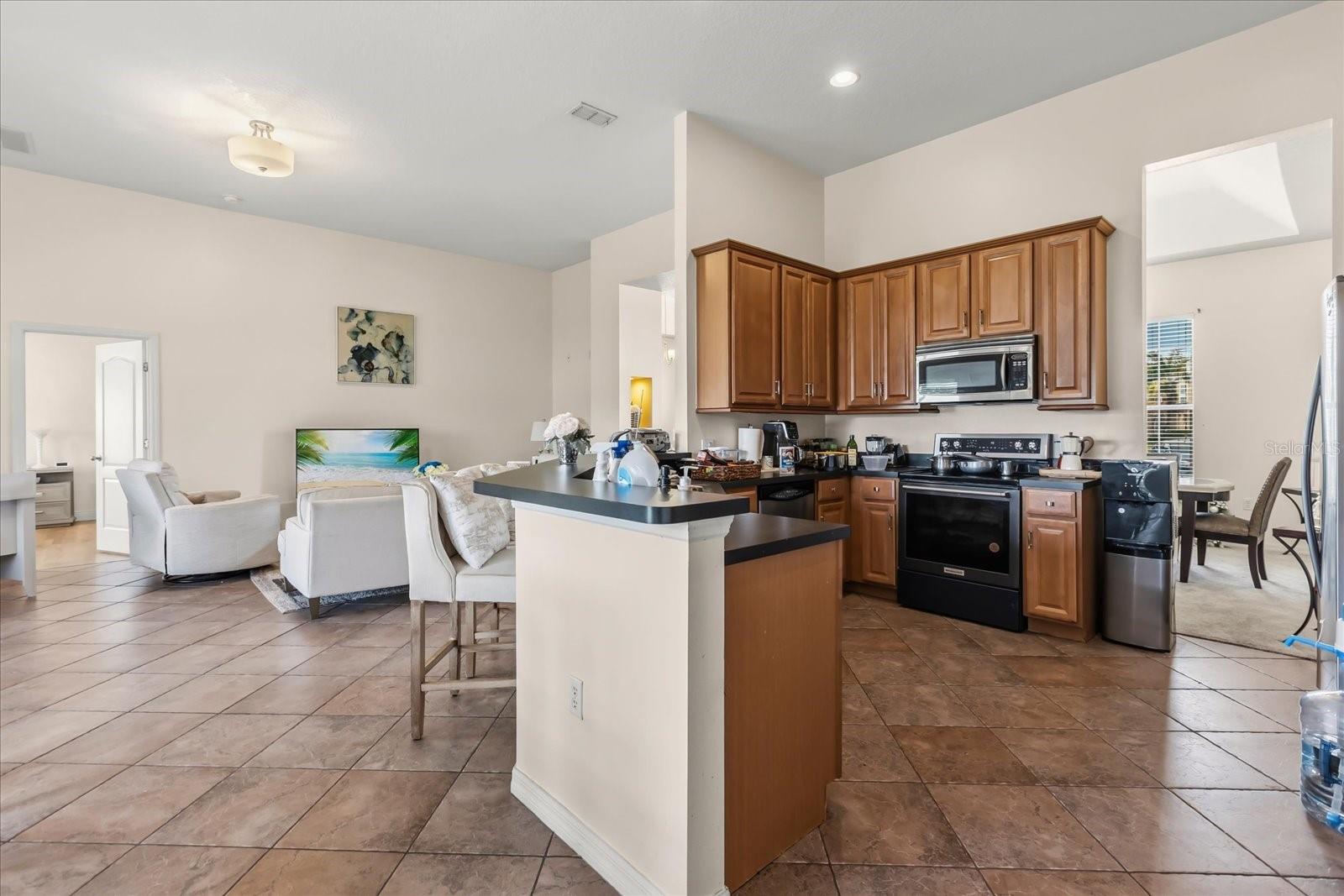 3878 WOOD THRUSH DR, KISSIMMEE, FL, 34744