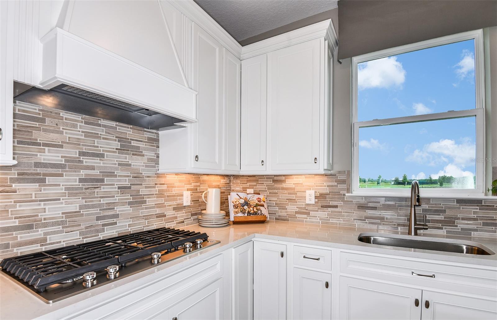 1116 CANOPY VIEW WAY, MINNEOLA, FL, 34715
