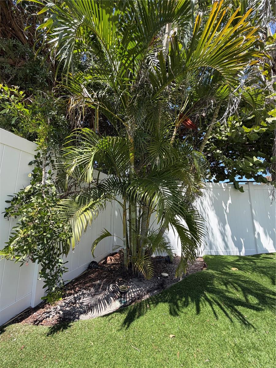 3500 OVERLOOK DR NE, ST PETERSBURG, FL, 33703