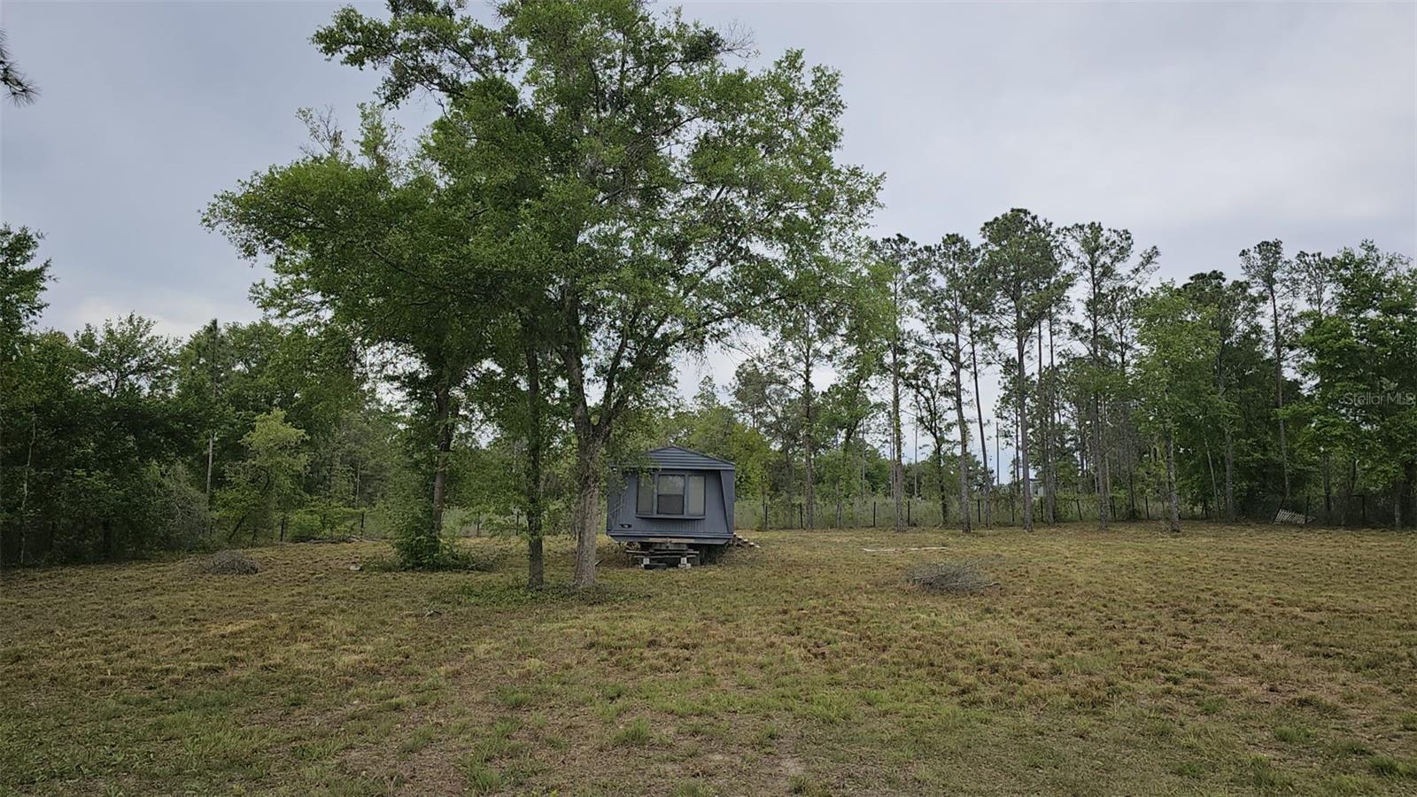 1390 NE 130TH AVE, WILLISTON, FL, 32696