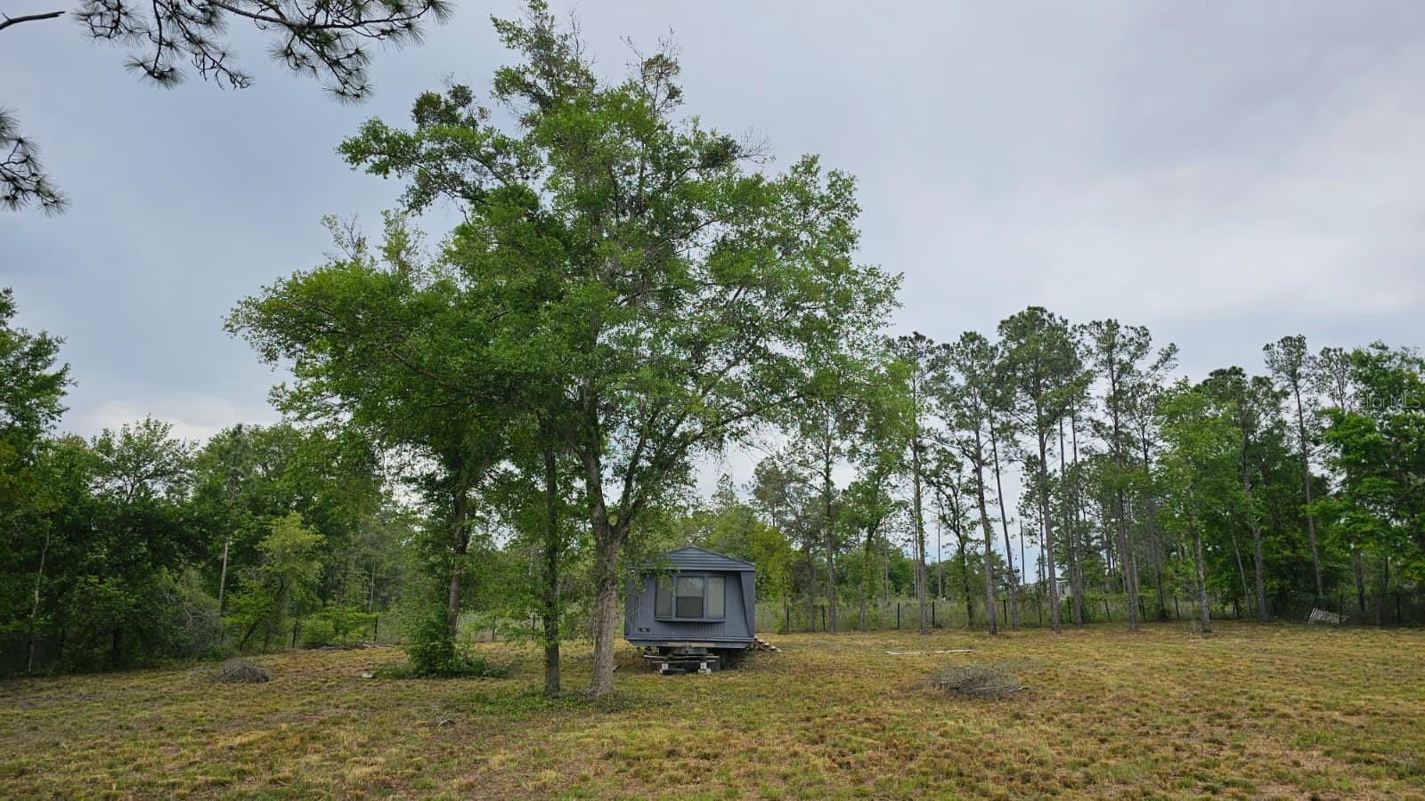 1390 NE 130TH AVE, WILLISTON, FL, 32696
