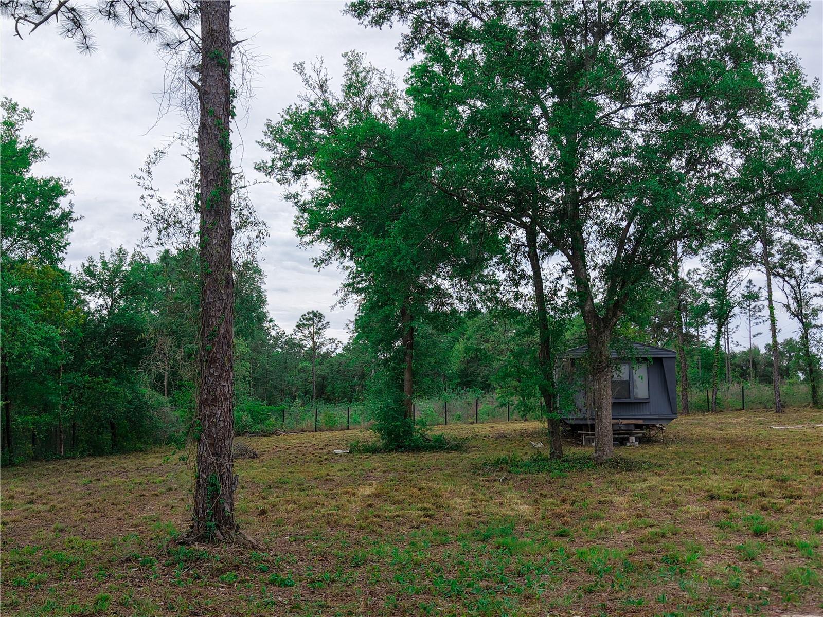 1390 NE 130TH AVE, WILLISTON, FL, 32696