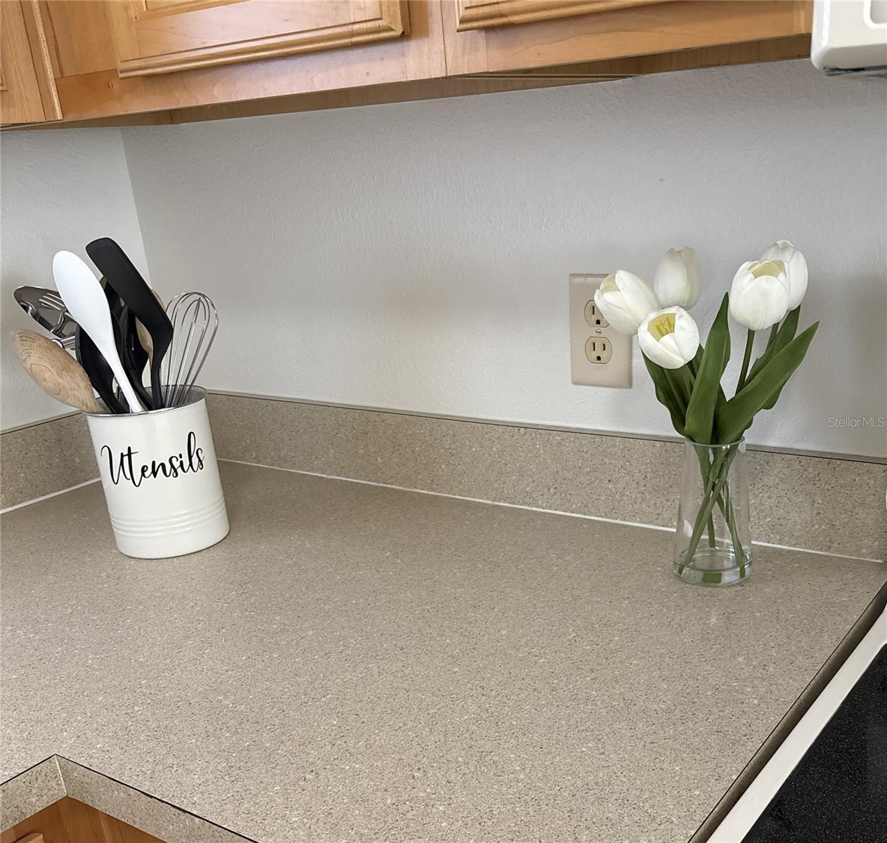 1240 PAGELAND WAY, THE VILLAGES, FL, 32162