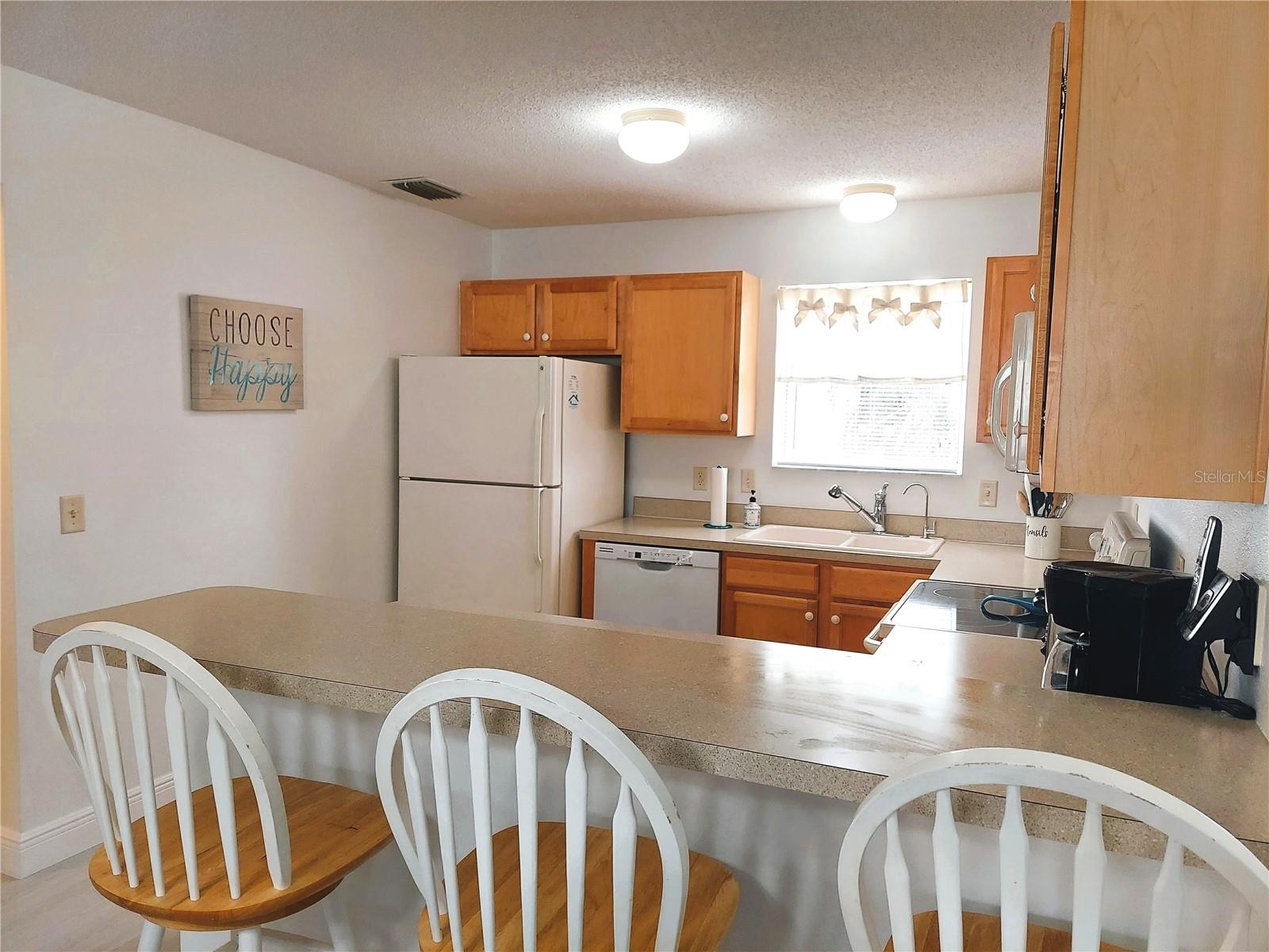 1240 PAGELAND WAY, THE VILLAGES, FL, 32162