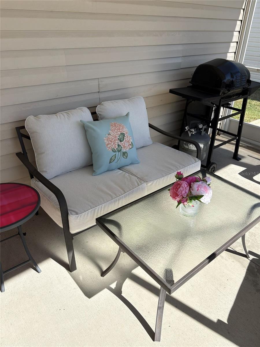 1240 PAGELAND WAY, THE VILLAGES, FL, 32162