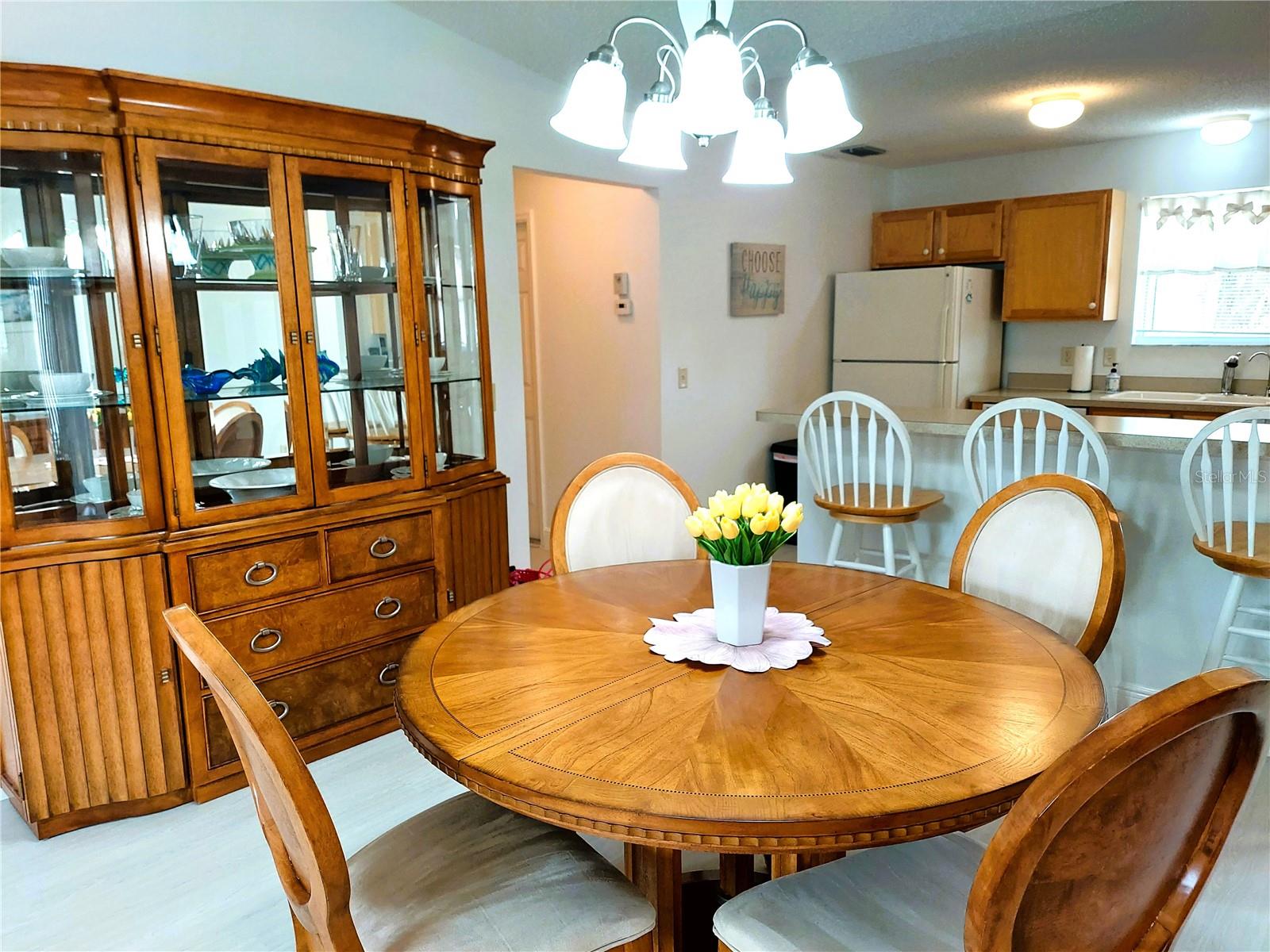 1240 PAGELAND WAY, THE VILLAGES, FL, 32162