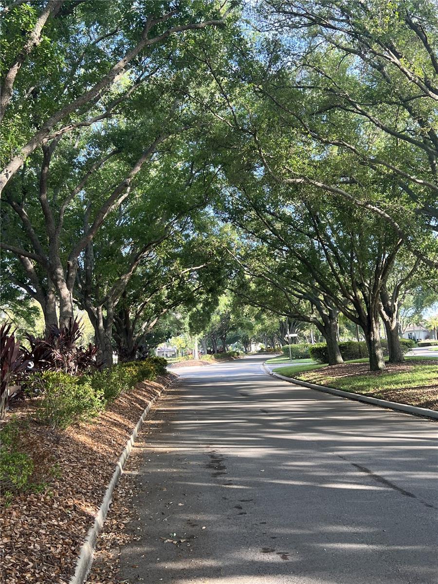 360 CEDARBROOK CT, VENICE, FL, 34292