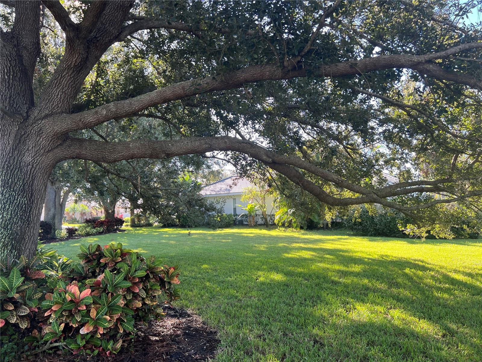 360 CEDARBROOK CT, VENICE, FL, 34292