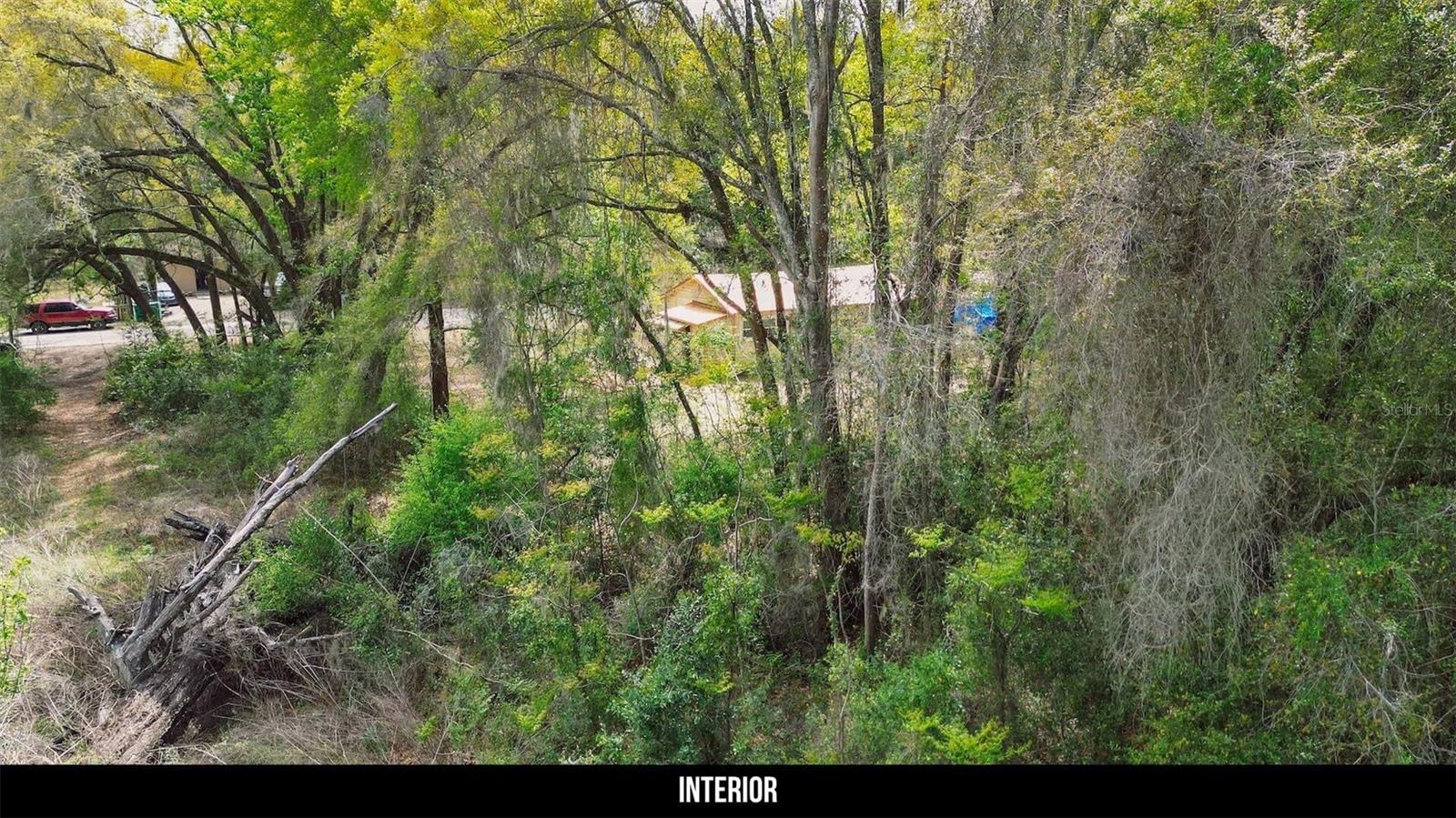 OAK ST, WILDWOOD, FL, 34785