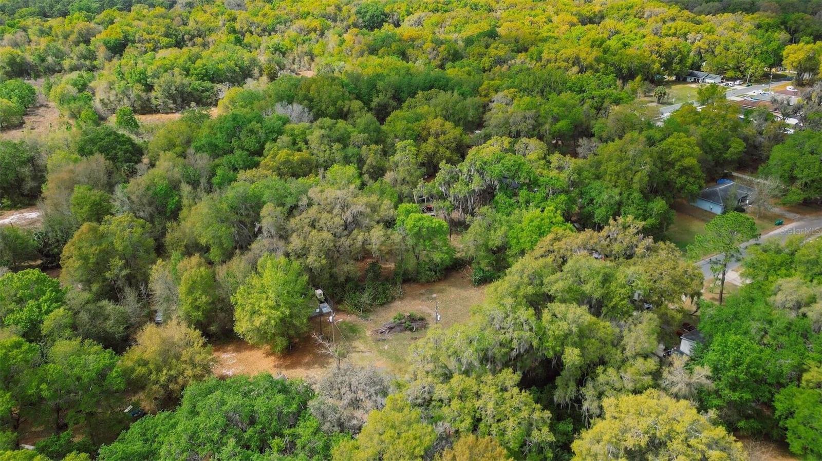 OAK ST, WILDWOOD, FL, 34785