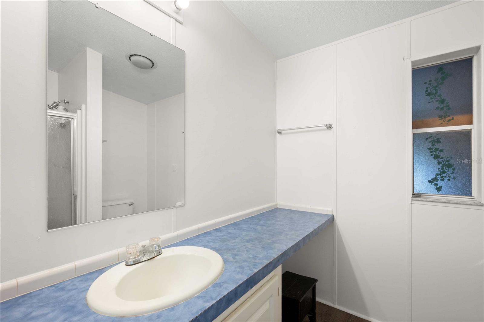 3210 HICKORY DR, WESLEY CHAPEL, FL, 33543