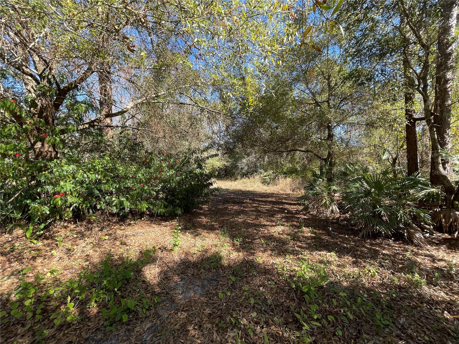 9275 LINCOLN RD, ST CLOUD, FL, 34773