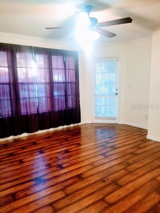 3314 HAVILAND CT #104, PALM HARBOR, FL, 34684